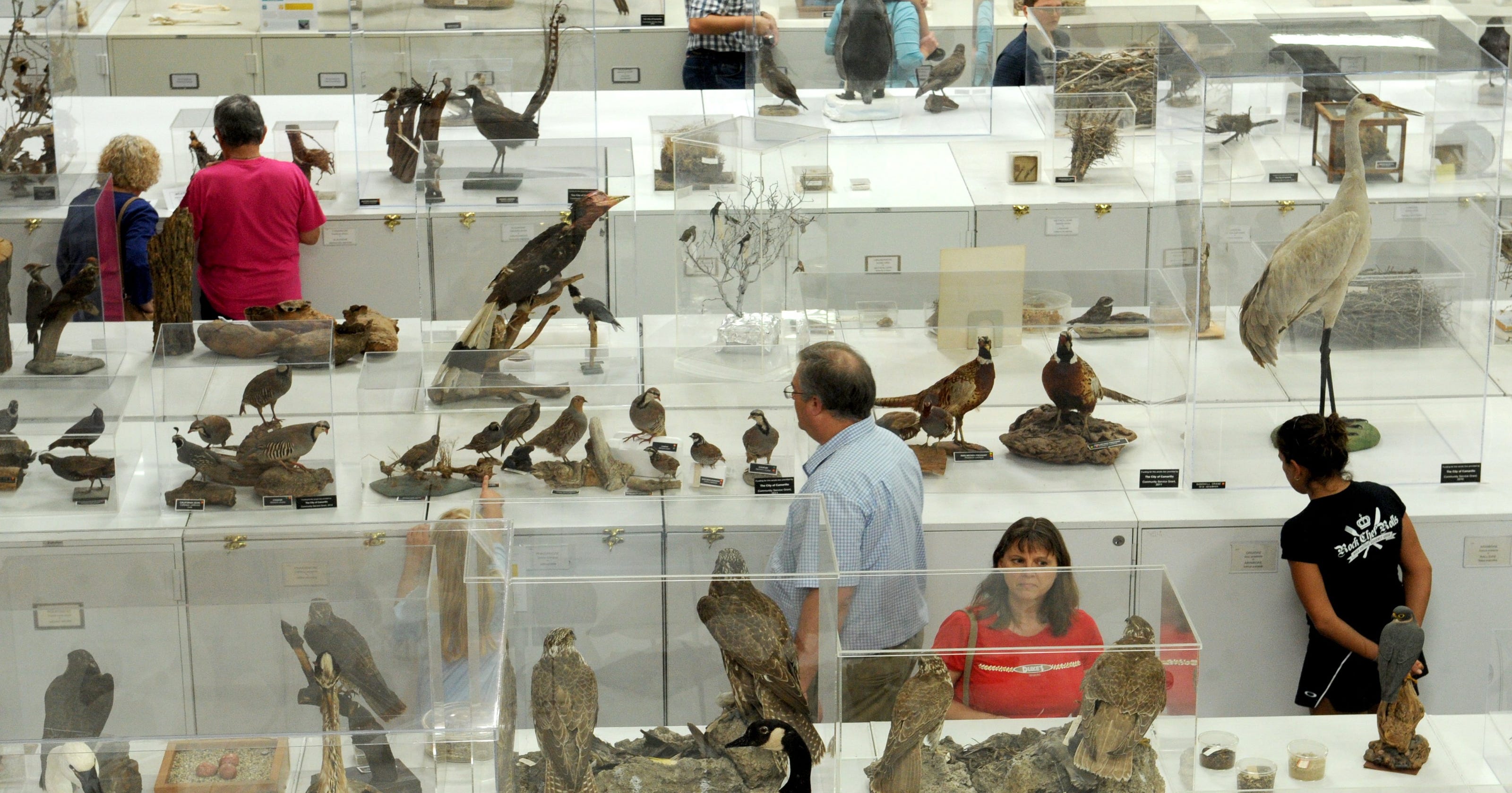 Visitors flock to Camarillo museum open house