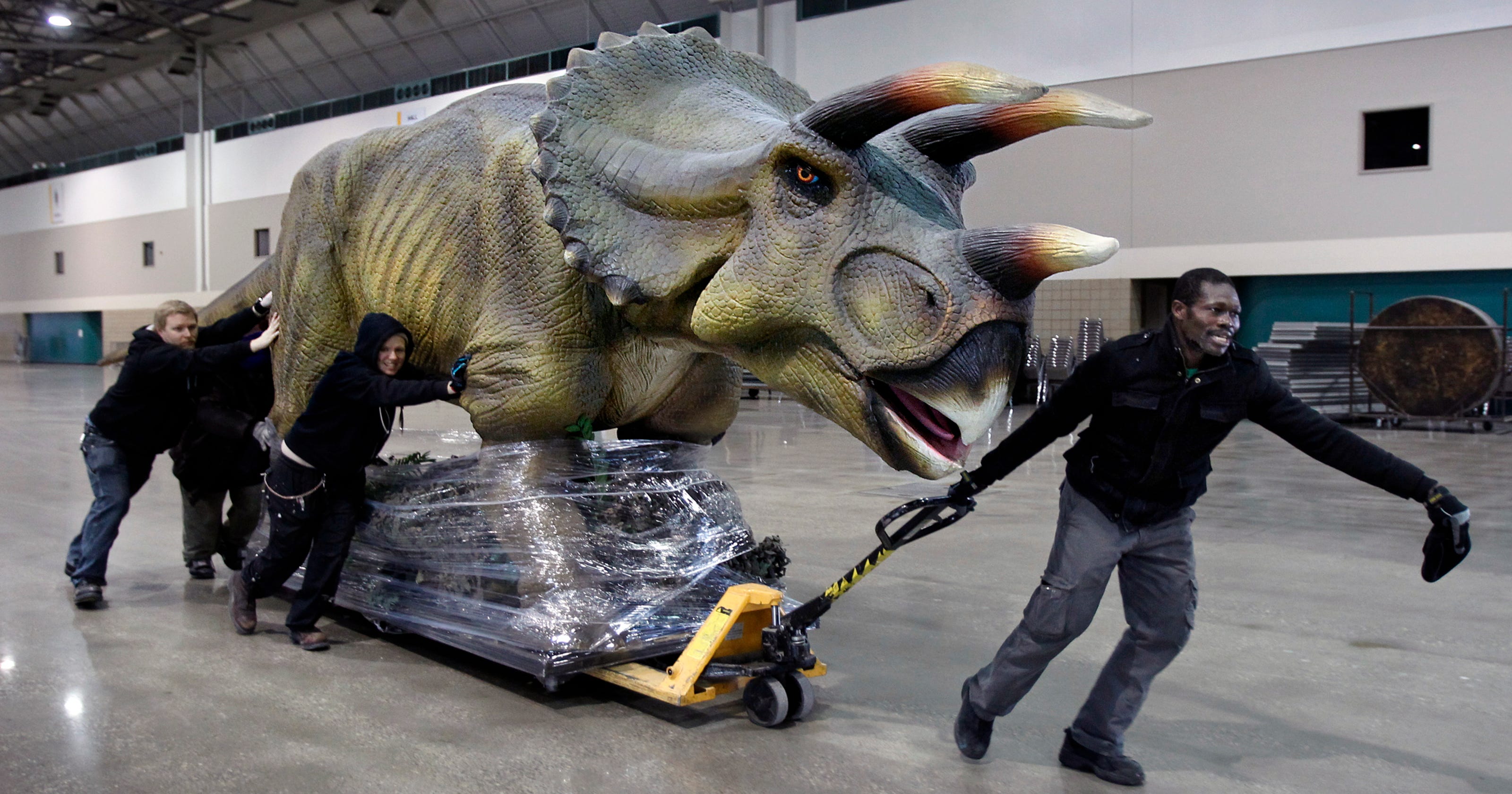 triceratops with horns on frill