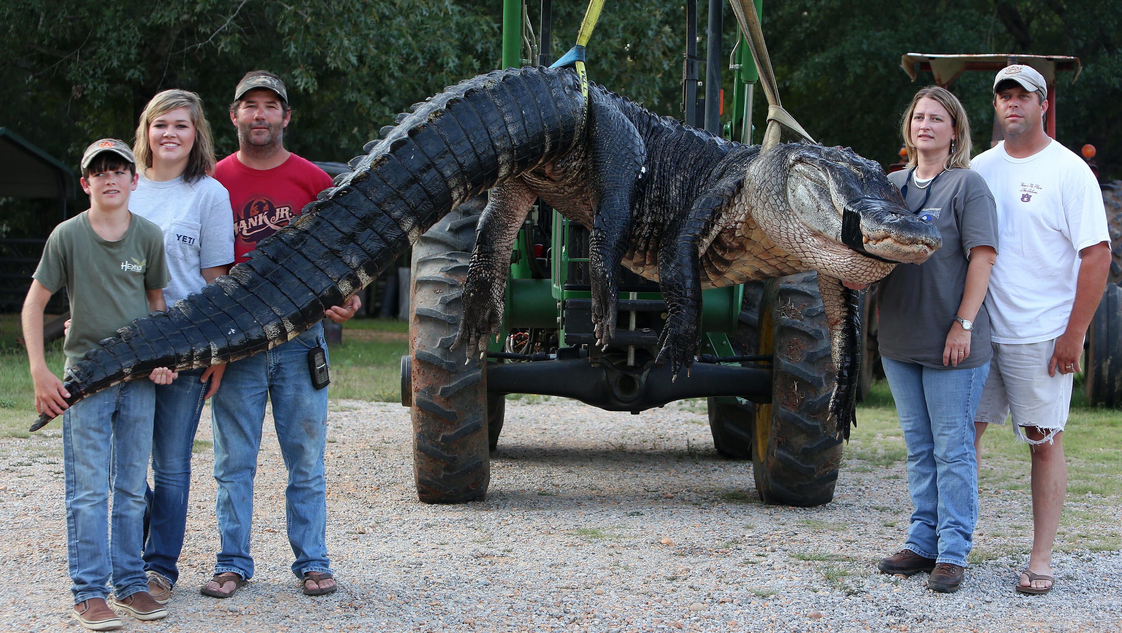 hamilton alabama circus female alligator wrestler hamilton alabama circus female alligator wrestler