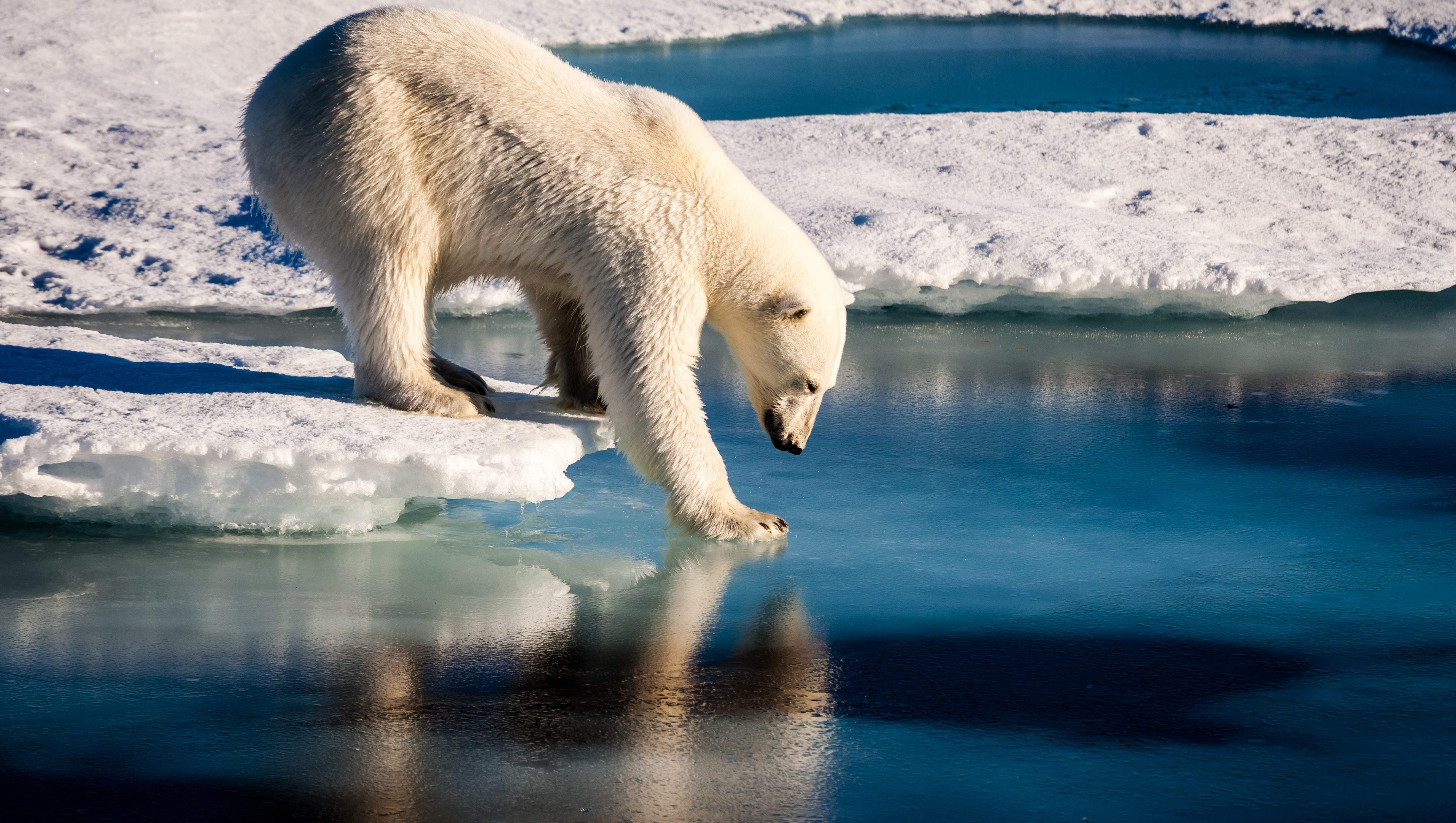 Arctic Sea Ice Nears All Time Record Wintertime Low