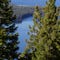 Plague Detected At Lake Tahoe Area Campground Plague Detected At Lake Tahoe Area Campground