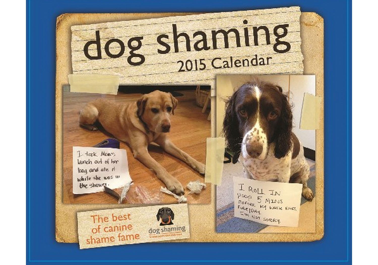 dog ate a chocolate chip