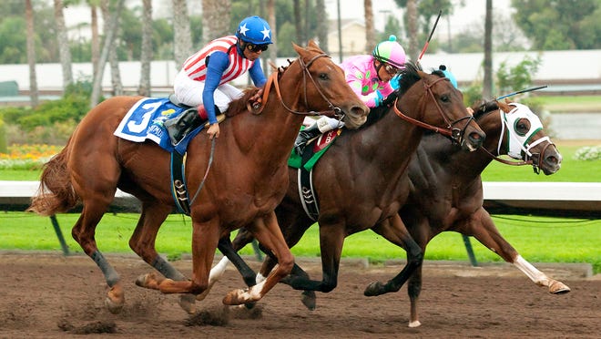 Dortmund and jockey Martin Garcia (left) took aim at Firing Line (center) and Mr. Z to win the $500,000 Los Alamitos Futurity Dec. 20 in a three-way photo. Dortmund and Firing Line square off again at Santa Anita.