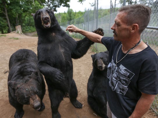Carl Oswald, 44, pets a large black bear at Oswald's