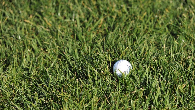 Golf Day at the Florida Capitol is Feb. 28.