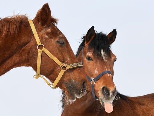 AFP AFP_11D6CT I WEA DEU BA