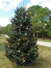Pictured Is The Christmas Tree Used By Eagle Ridge Pictured Is The Christmas Tree Used By Eagle Ridge