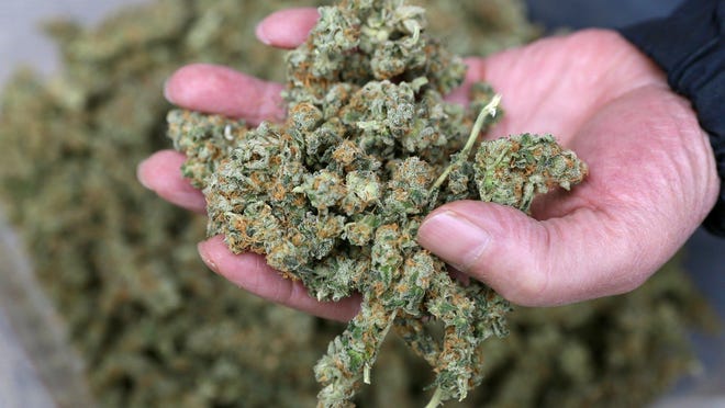 A rule proposed by the Bureau of Medical Marihuana Regulation would allow provisioning center to make home deliveries of marijuana to registered patients through an online ordering system.