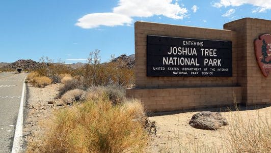 Heavy rains at Joshua Tree National Park have wreaked havoc on some of the roads.