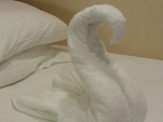 towel animal DON'T OVERWRITE
