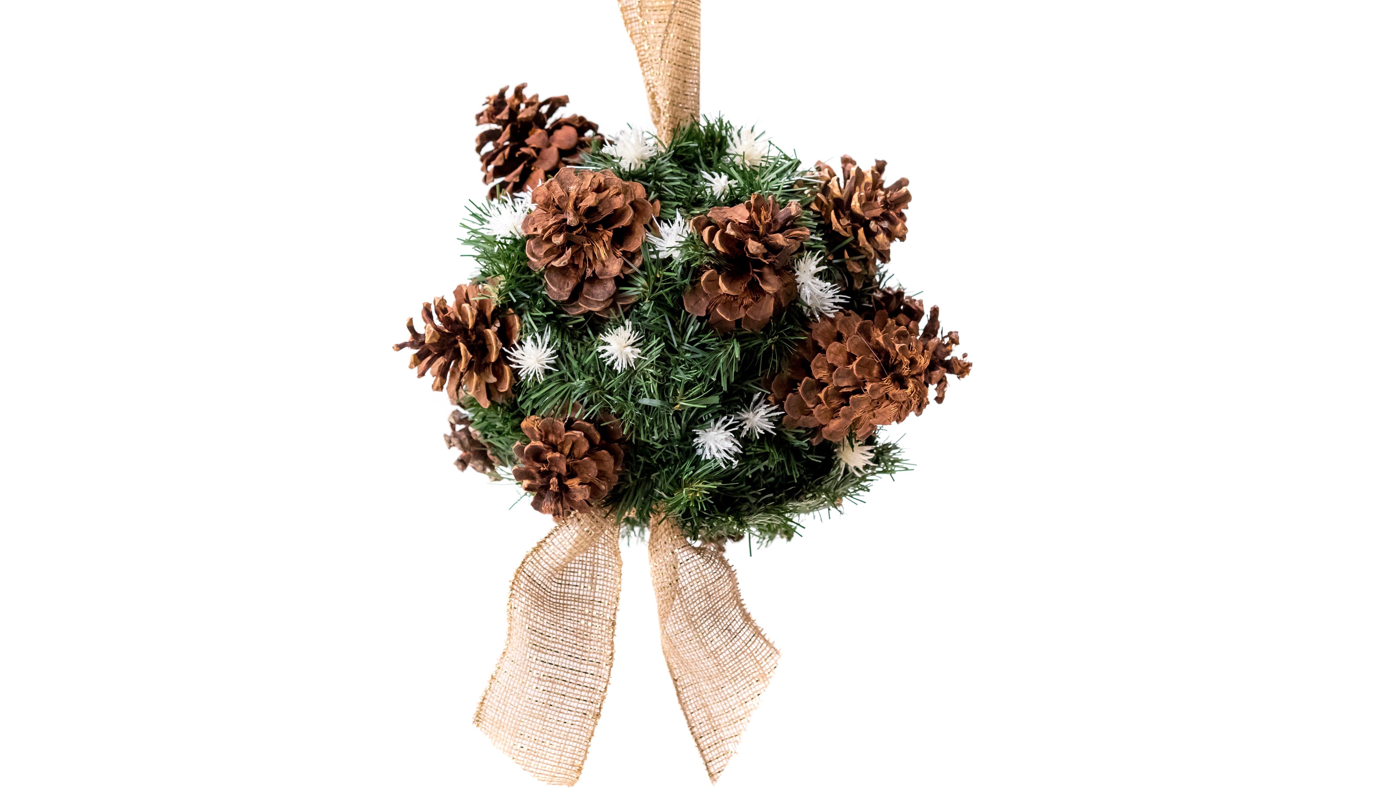 Christmas Diy Kissing Ball