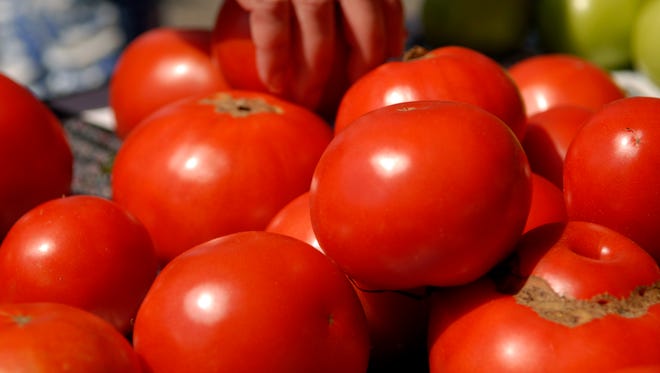 A customer reaches for tomatoes grown by Jackson's Produce at the Grey Street Farmer's Market located downtown on the 400 block of Grey Street. May 19, 2016