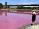 Visitors take a photo of a lake that has turned a vivid