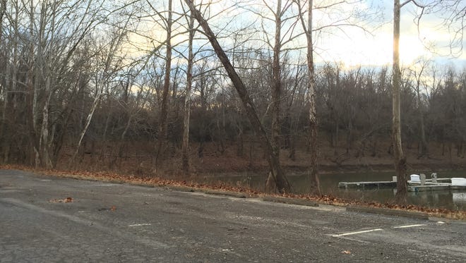 The wooded area where an unidentified male was found Monday afternoon.