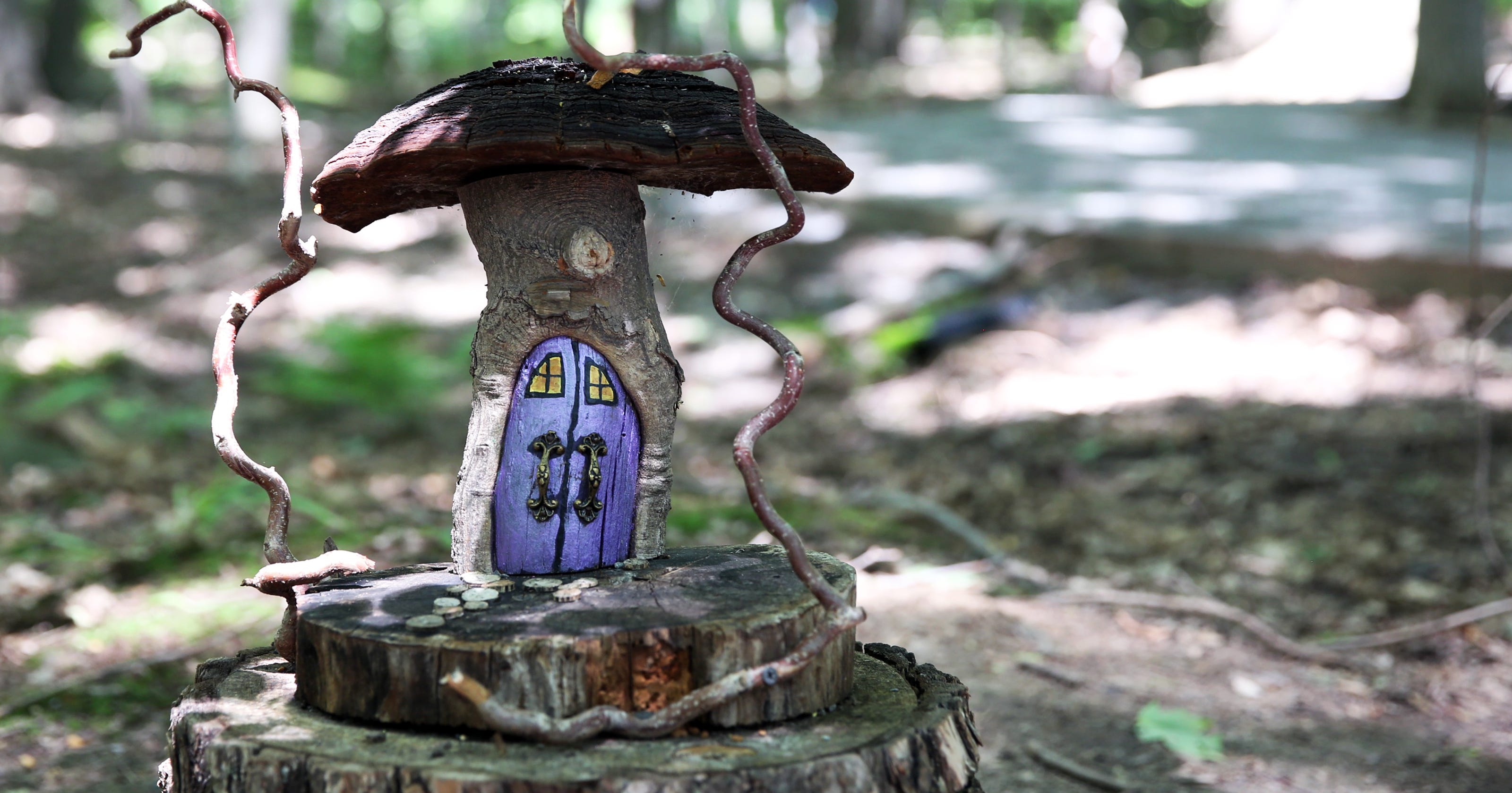 Fairy houses removed from Tinker Nature Park in Henrietta NY