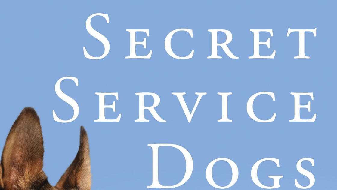 Book review service