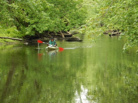 Kayaking the Great Swamp