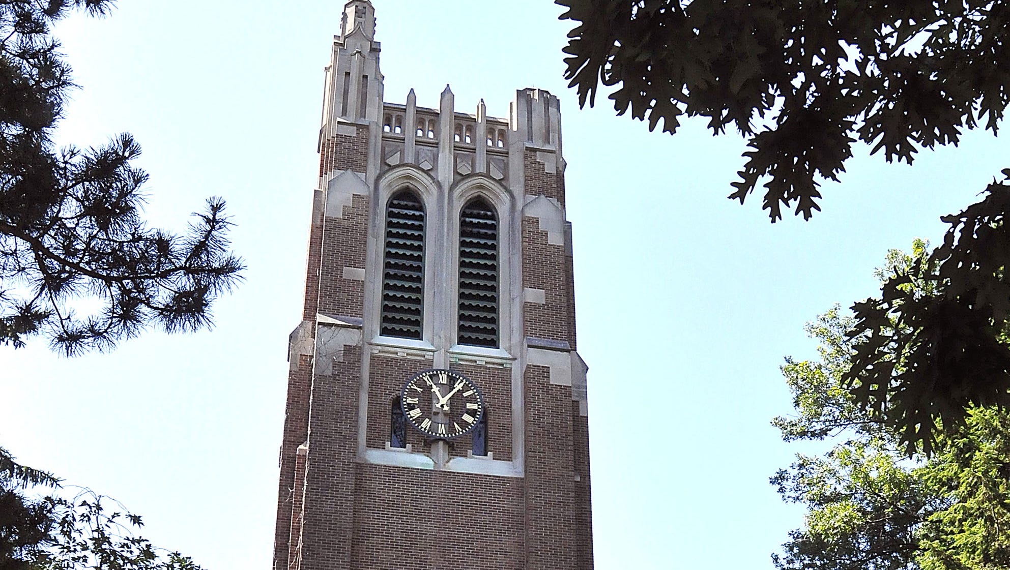 Michigan State vet school receives 12.6 million gift