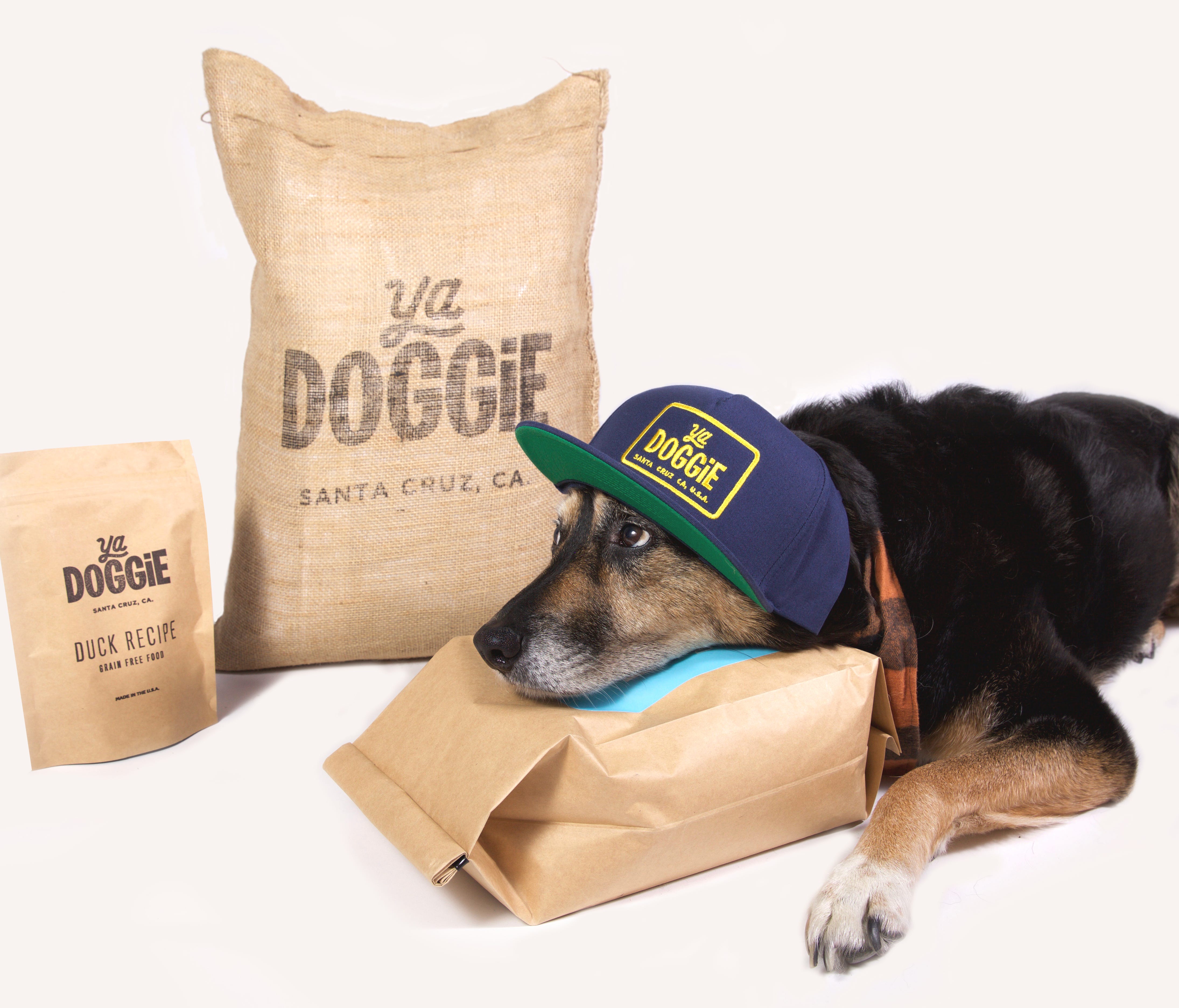 YaDoggie is a monthly subscription service for dogs