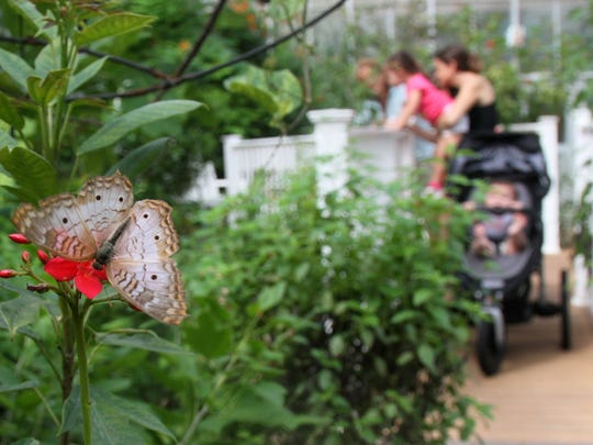 The Butterfly Estates A World Of Color In Fort Myers