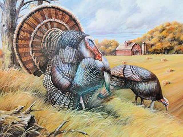 Dnr Stamp Design Contest Winners Announced