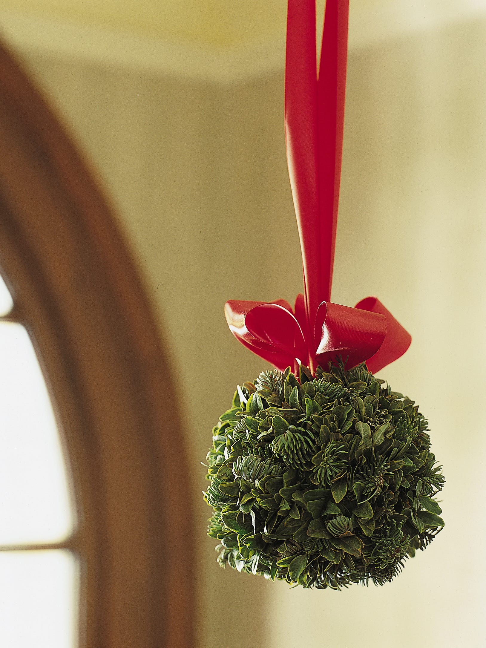Christmas Traditions Explained Mistletoe