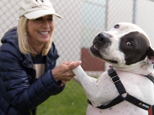 Empty the Shelters 2018: Free animal adoption event expands