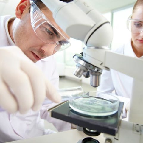 Two scientists performing clinical research.