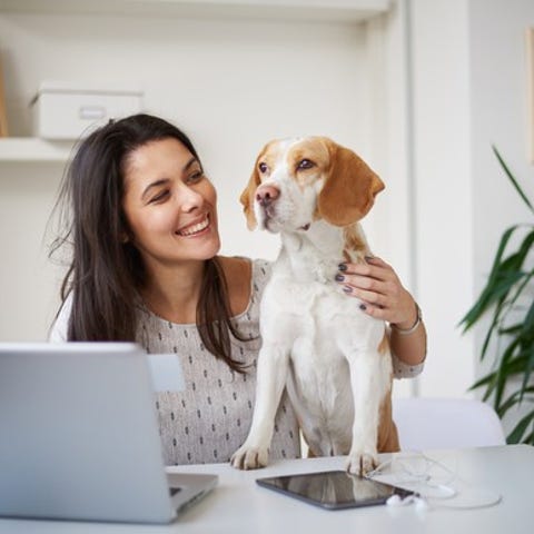 Woman in home office sitting in front of a compute