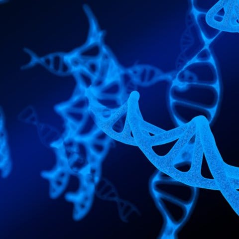 Strands of DNA floating in a blue medium.