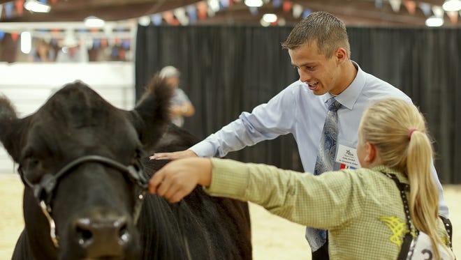 Livestock judge Cody Doubet of Parker, Colo., judges steers in the Livestock Pavilion at the Montana State Fair at ExpoPark Wednesday.