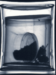 Unsuspecting recipients of hazardous packages often