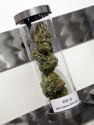 A sample of medical marijuana is displayed at Shango