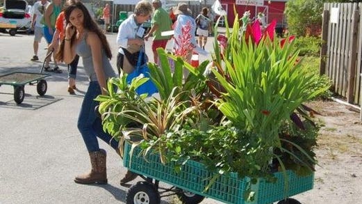 Grab your wagon and head to Big Country Master Gardener Associaton plant sale Saturday.