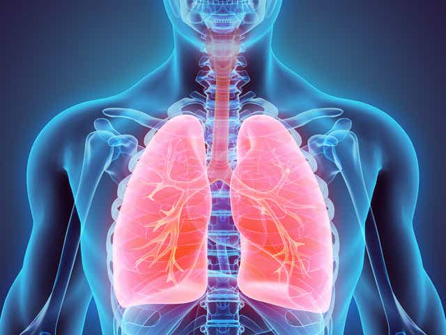 With Bronchitis Cough Can Linger For Weeks