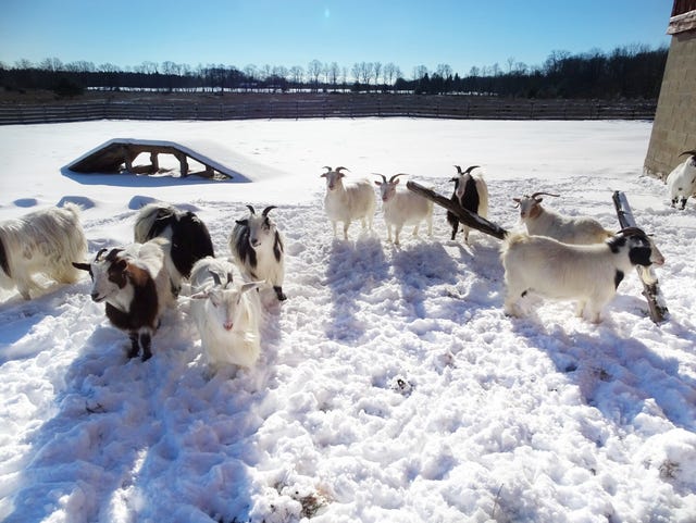 Wisconsin State Farmer