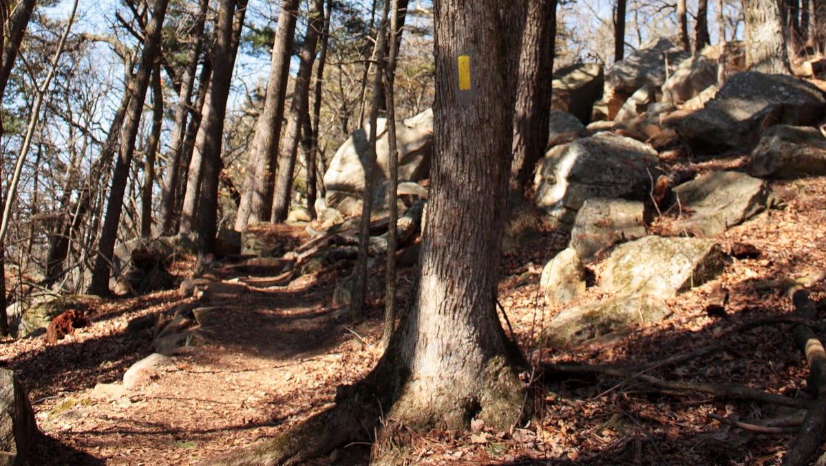 If ‘conservation’ is the goal, why emphasize public access to natural land? | Letters
