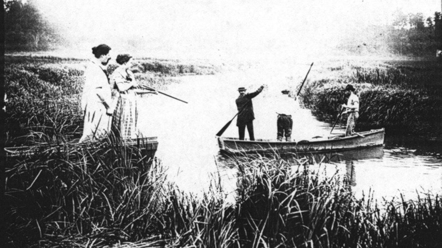 Marking 100th anniversary of Beach Haven shark attack