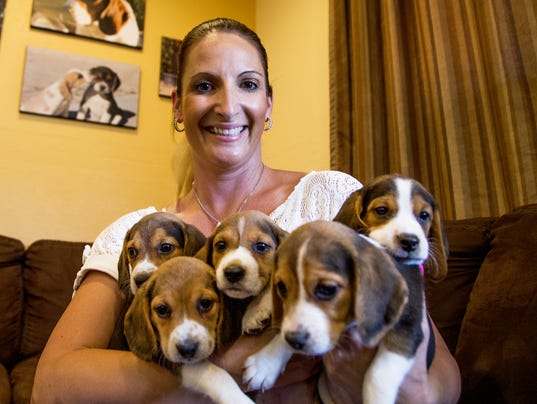 Bringing A Dog Home From The Pound Bringing A Dog Home From The Pound