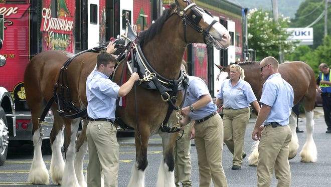 The Budweiser Clydesdales made a stop in Prattville in 2003.