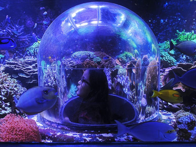 Photos Sertoma Butterfly House & Marine Cove aquarium