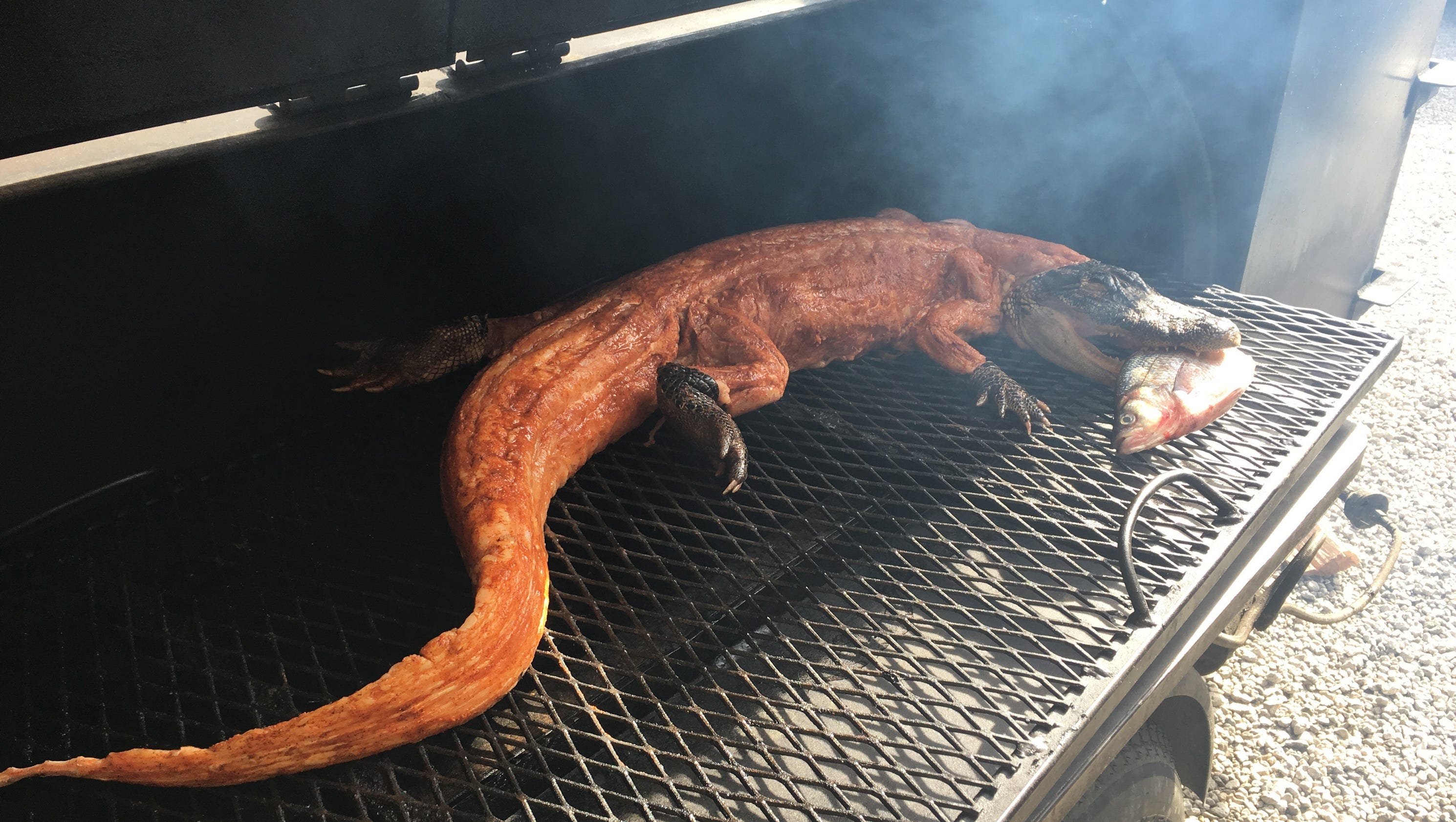How to smoke an alligator, the Saddleback BBQ way