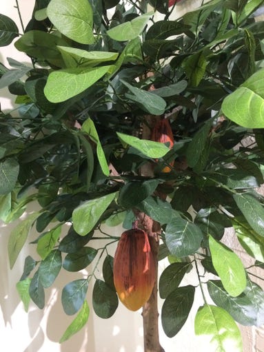 The experience includes a few faux cacao trees and