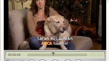 Watch Sarah Mclachlan S Aspca Video