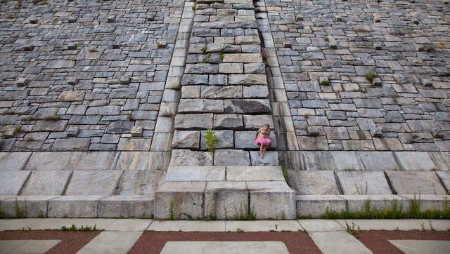"Little Tree" was taken at the Kensico Dam