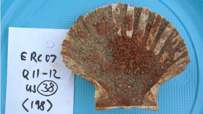 
In this undated photo provided by Mark Robinson, environmental archeologist at Oxford University Museum of Natural History, a scallop shell with makeup found in a sewer of Herculaneum. 
