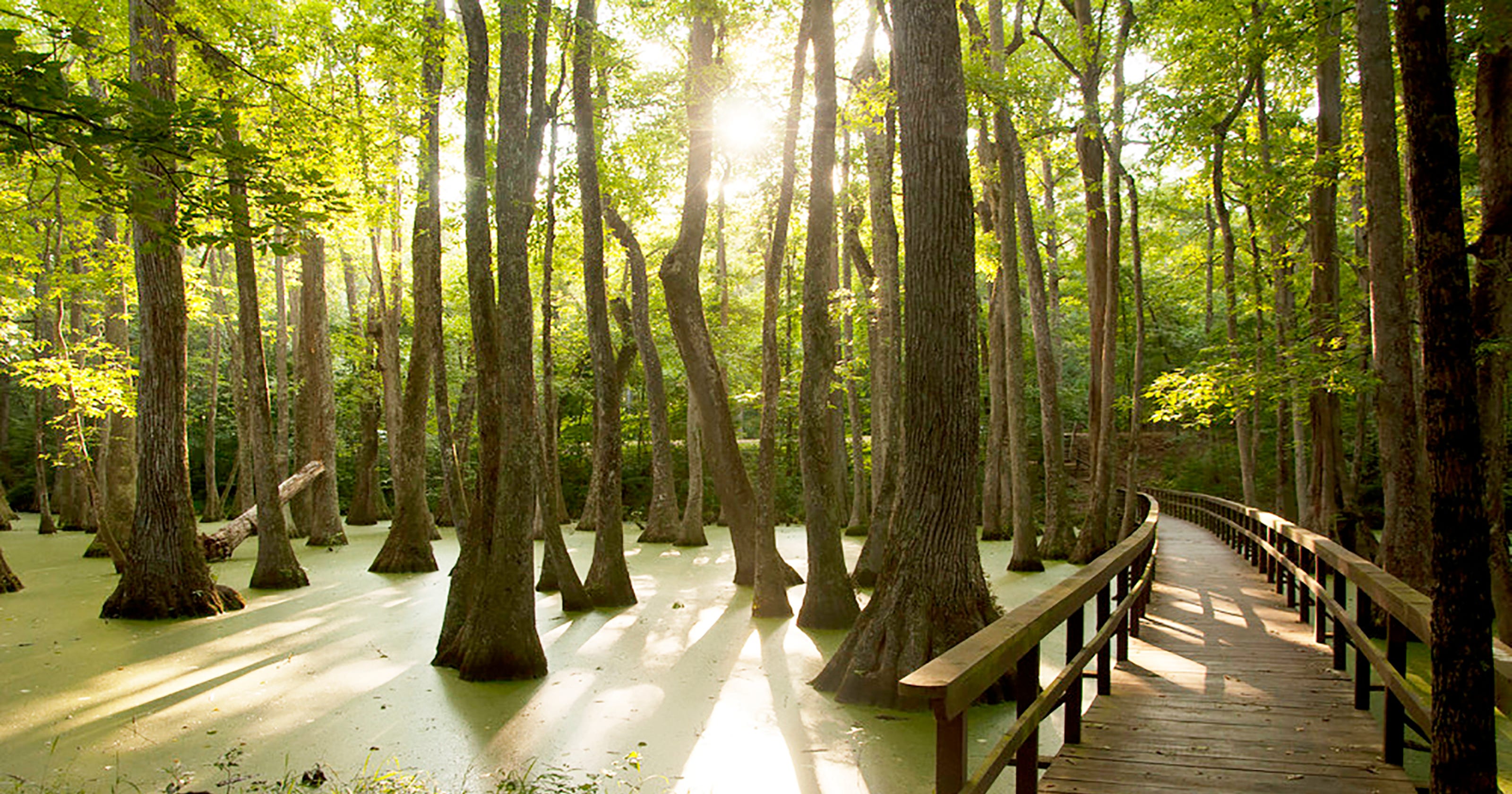 Mississippi Near Jackson You Ll Find Memorial Day Weekend Fun