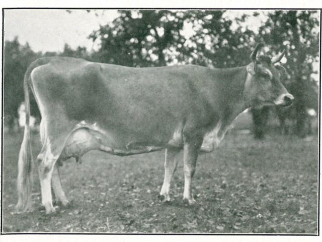 Statesman Journal