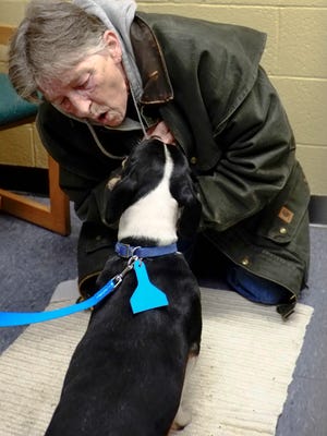 Linda Tamer, of Holt, starts to make friends with this Jack Russel, basset hound mix at the Holiday All Nighter event at the Ingham County Animal Shelter Saturday, December 17, 2016. She decided she wanted to take the dog home.