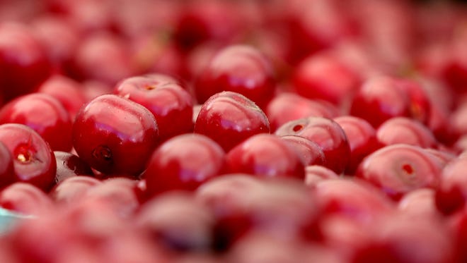 Cherries could benefit from the use of high tunnels, a Cornell University study has found. / USA Today Network file photo